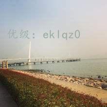 ˫