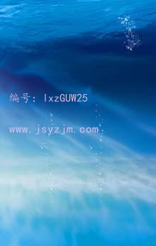 ˫